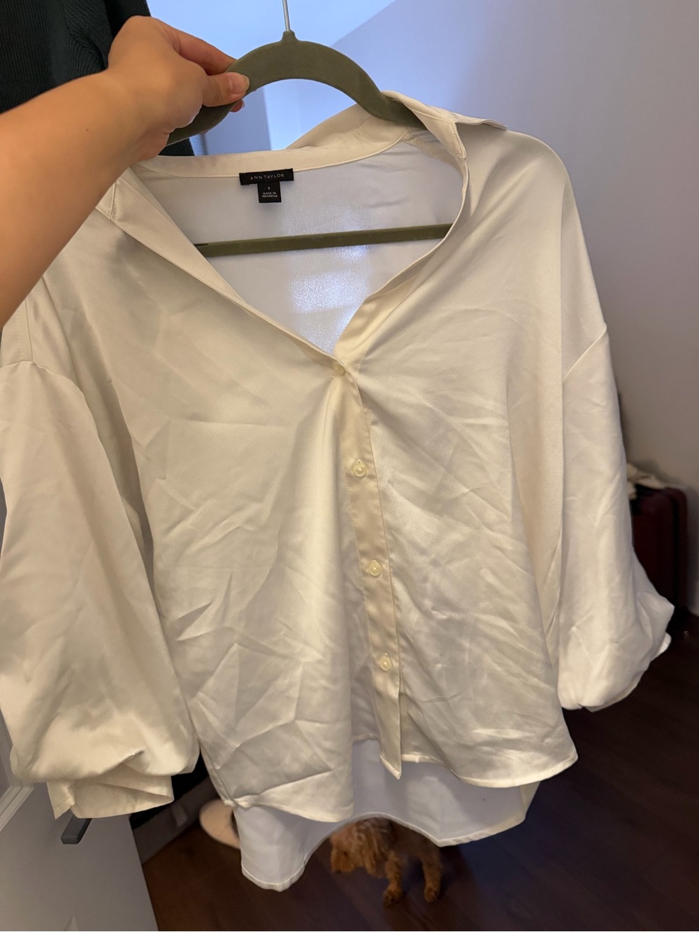 Ann Taylor Ivory Satin Button-Down Blouse (just needs to be steamed)